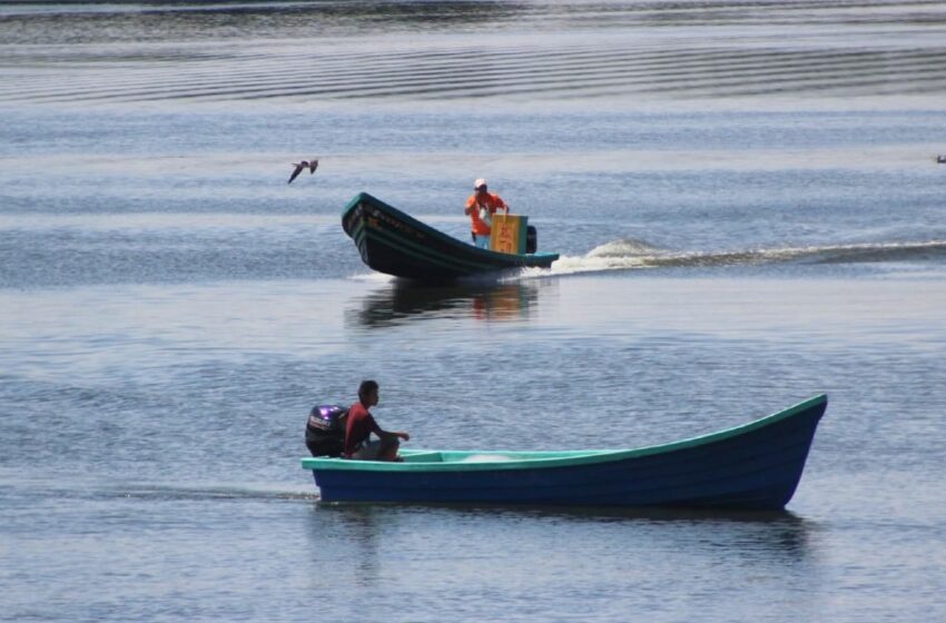  Pescadores dejan laguna del Chairel para buscar pesca en Pánuco – Grupo Milenio