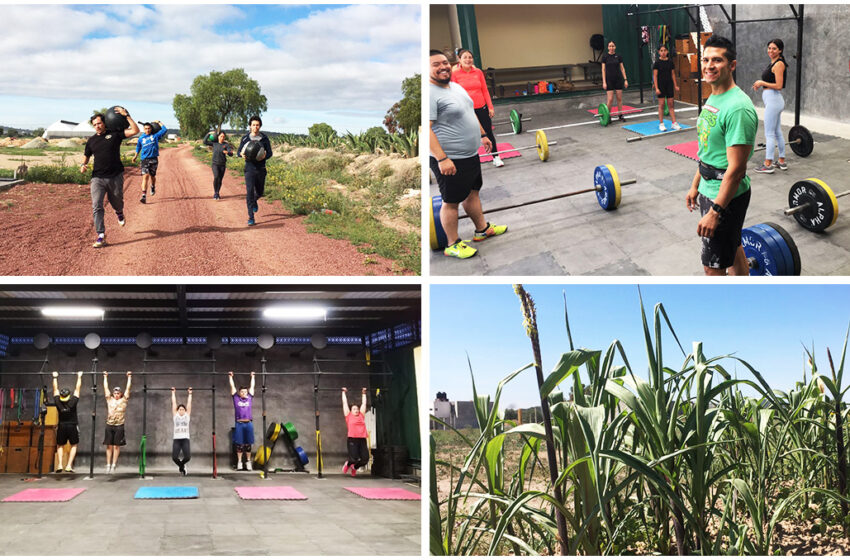  Caja Boox, gimnasio en Pachuca que busca concientizar sobre el impacto ambiental