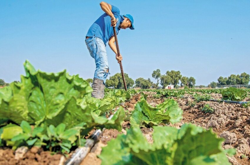  Sequía e inundaciones amenazan producción de alimentos, advierten productores