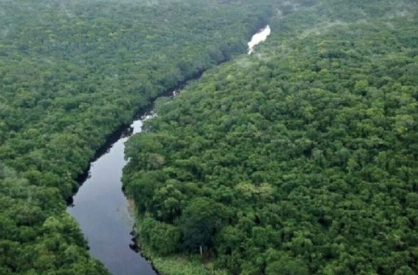  Reservas Balam Kú y Balam Kin en Campeche, aumentan sus hectáreas protegidas