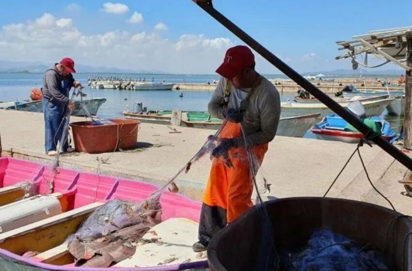  Pescadores de Guaymas y Empalme, inconformes por fecha de salida a la captura de camarón