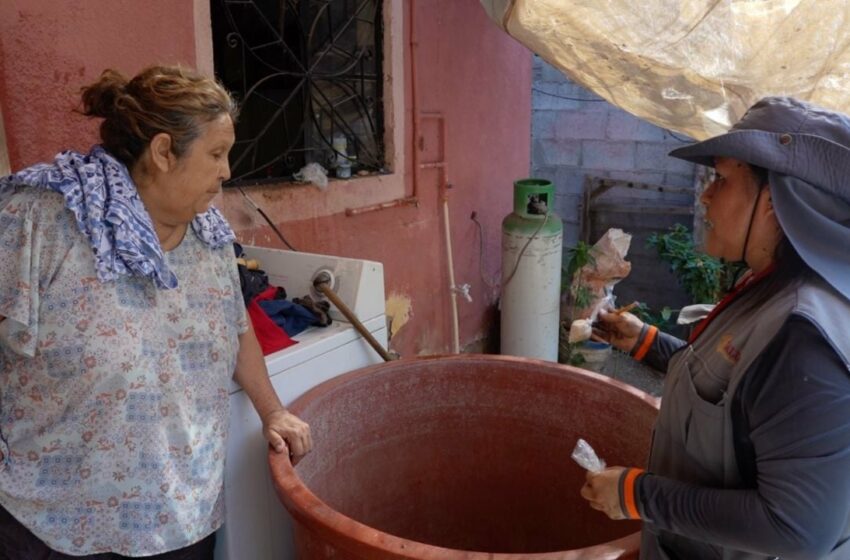  Dengue en Sonora: informa secretaria de salud disminución de un 94% en casos