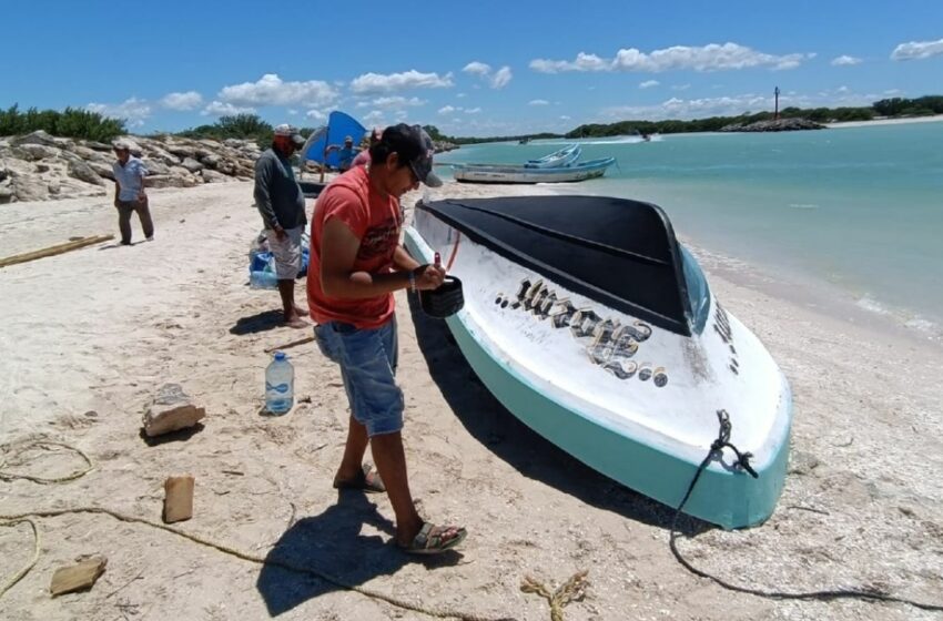  El huracán ''Gilberto'', una ''bendición'' para Chuburná – El Diario de Yucatán