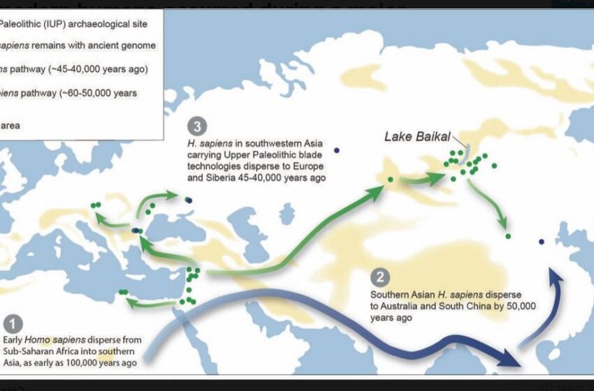  Polen indica que Europa se pobló en un periodo cálido hace 50.000 años