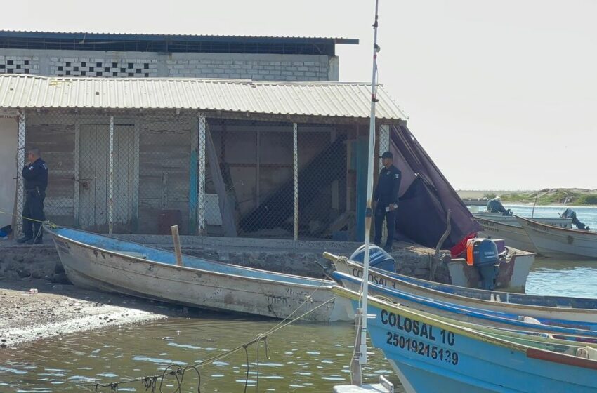  En Sinaloa, muere pescador en choque de embarcaciones con unidad de Semar – MILENIO