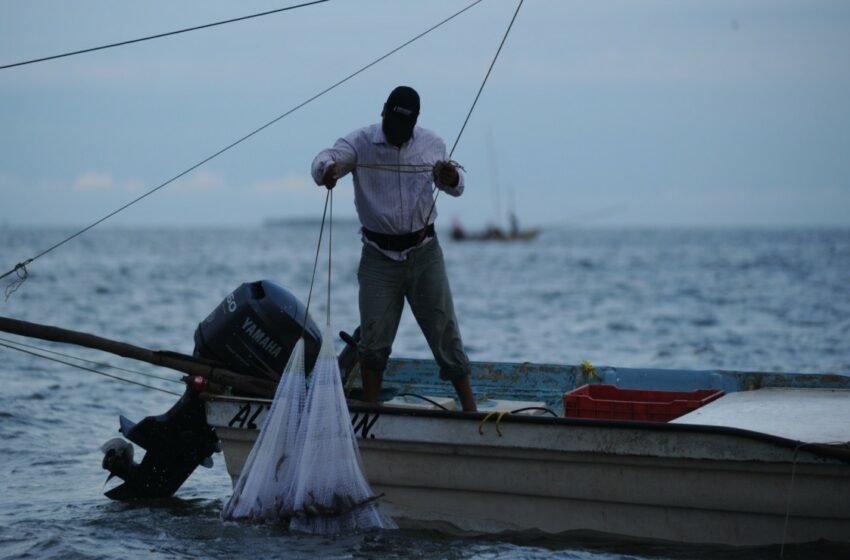  Parece que la pesca no importa – Debate