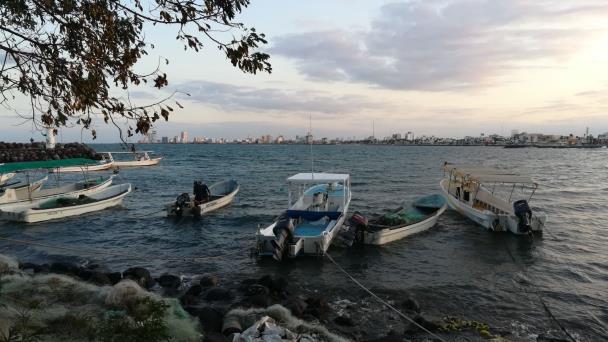  Se recupera la pesca en Veracruz, pero ahora hay pocas ventas