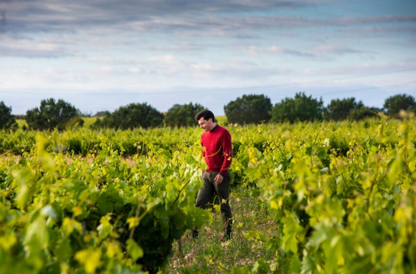  Impulsar la agricultura familiar y conectarla con los mercados, clave para una buena alimentación