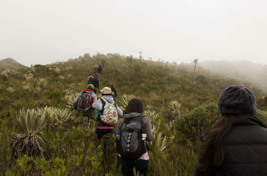  Los efectos de un planeta enfermo ya afectan a Bogotá – Medio Ambiente – Vida – El Tiempo