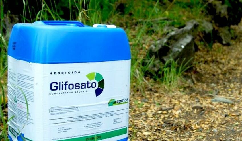  La UE fracasa en su intento de renovar diez años la autorización del pesticida glifosato