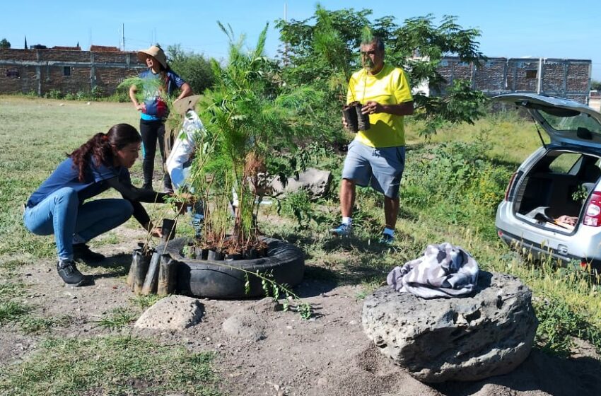  Contribuyen juventudes de Guanajuato al cuidado del medio ambiente