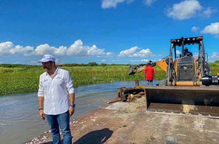  Limpian de lirio acuático al sistema lagunario, acción que supervisa Pepe Schekaibán