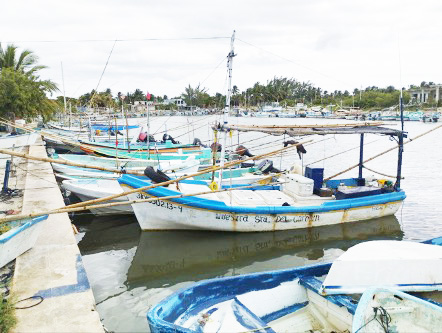  NORTES, EPIDEMIA PARA PESCADORES – Sol Yucatán