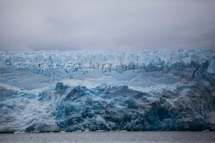  Día Nacional del Medio Ambiente: los desafíos más urgentes para nuestro país