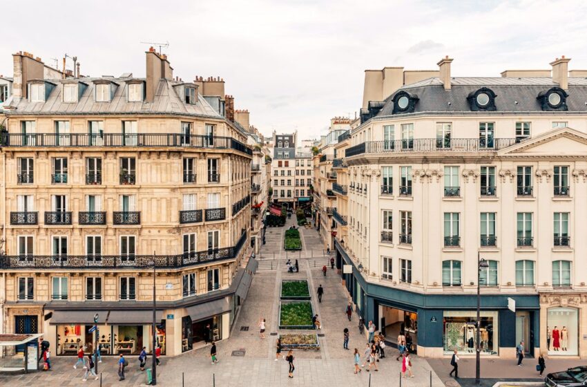  Plaga de chinches en París: ¿cómo están afectando a los viajes?