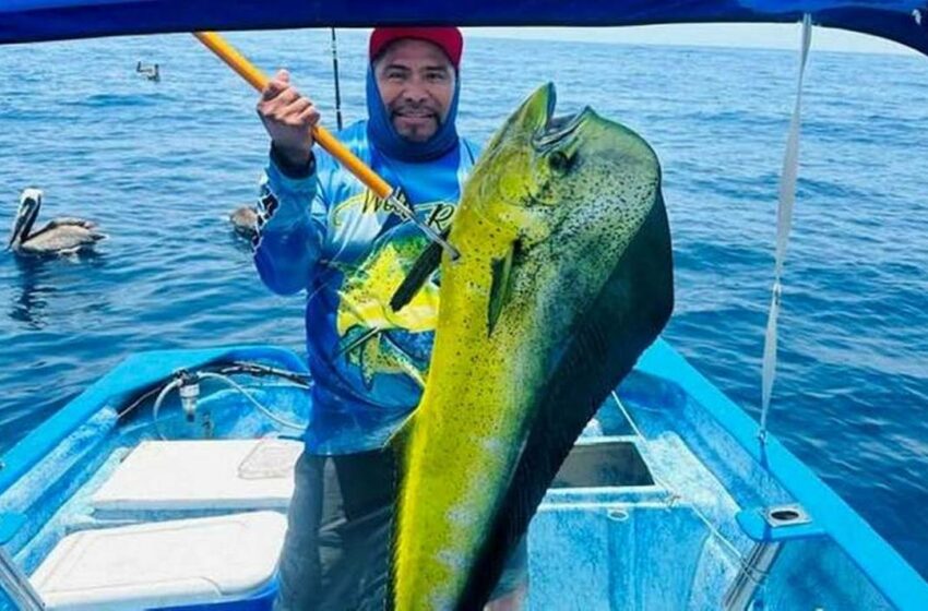  30% del turismo en BCS proviene de la pesca deportiva – El Sudcaliforniano