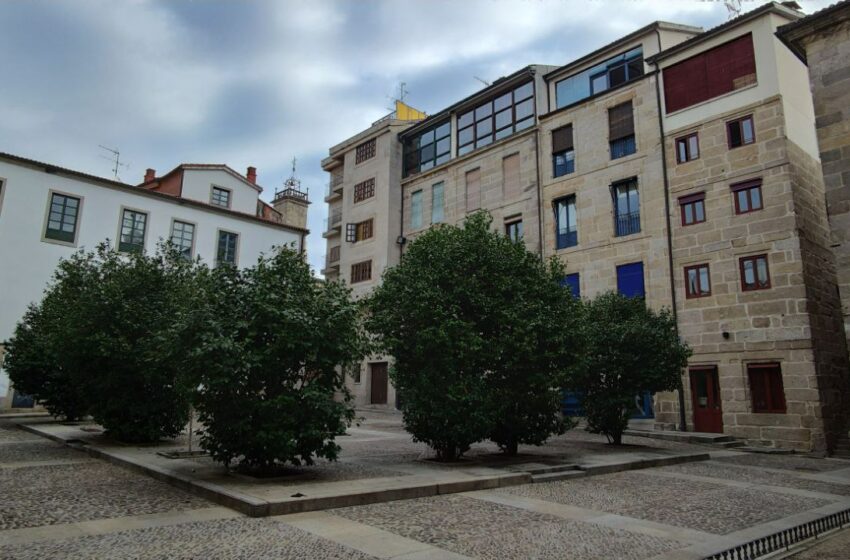  Amigos da Terra exige la convocatoria del Consejo Municipal de Medio Ambiente en Ourense