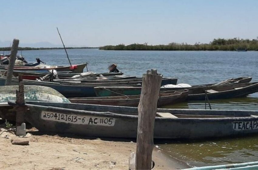  'Antes de declarar zona de desastre en la pesca, hay que buscar soluciones': Guerra Mena …