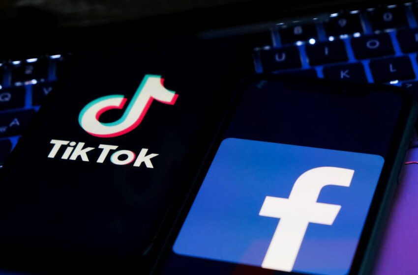  TikTok y Meta alistan planes de pago para eliminar publicidad