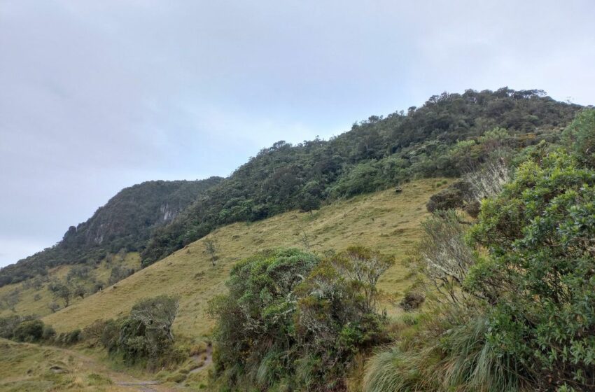  La Secretaría de Medio Ambiente avanza en el estudio de solicitudes para exoneración predial