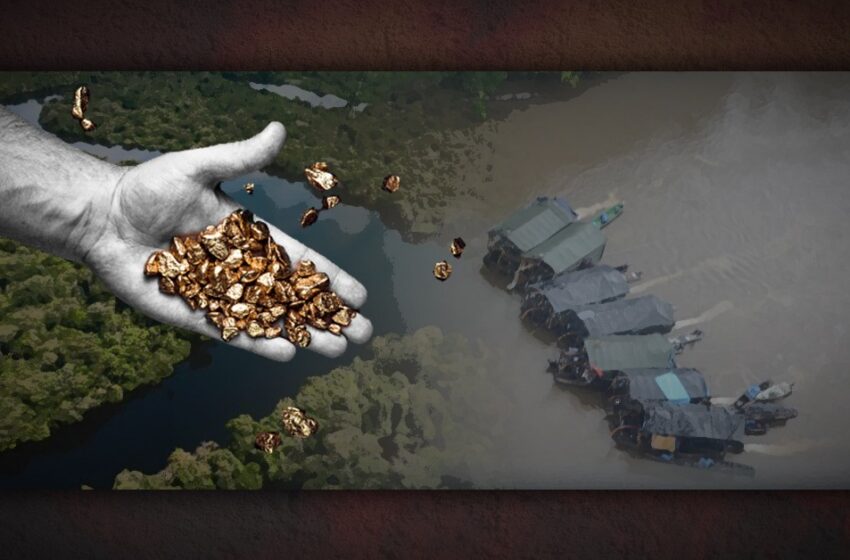  Mineros ilegales invaden con impunidad el río que abastece a la principal ciudad de la …