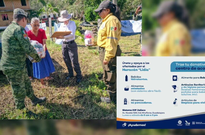  Invitan a donar alimentos y artículos para damnificados por 'Lidia' en Jalisco – Milenio