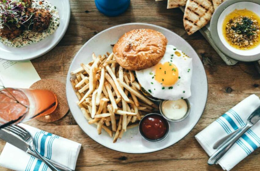  ¿Por qué te gustan ciertos alimentos? UNAM responde | GU – EL UNIVERSAL