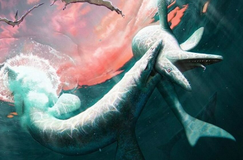  Descubren monstruo marino del Cretácico y lo nombran en honor a criatura de la mitología nórdica