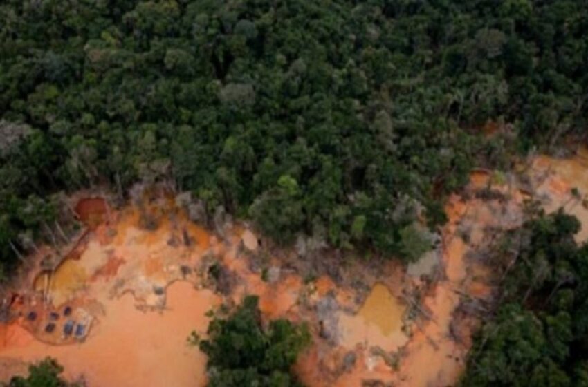  Denuncian explotación sexual y abusos en niños de zonas mineras – Diario Las Américas