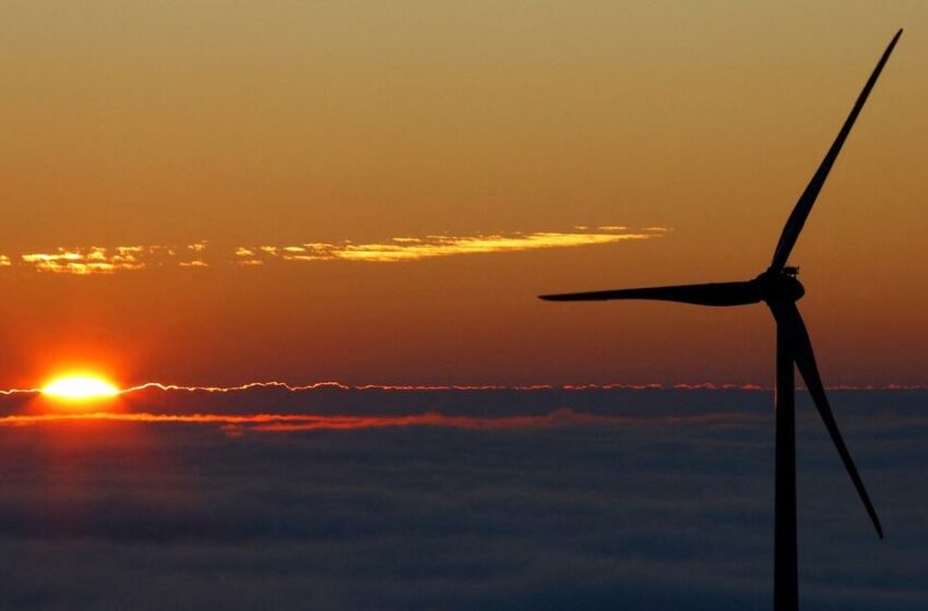  Planeta Tierra: Nuevo informe revela un preocupante pronóstico sobre el medio ambiente