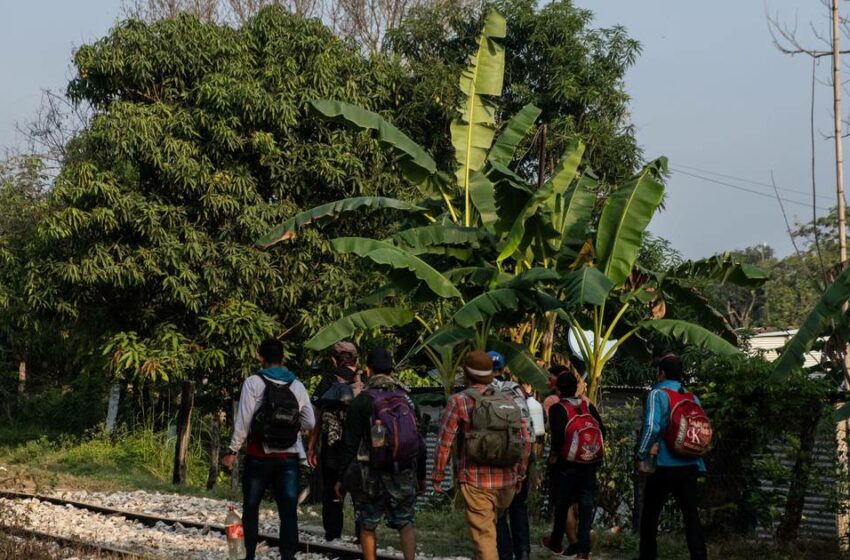  Migrantes climáticos, una realidad en México – El Financiero