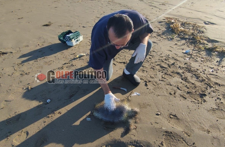  ¡Indignante! Aparece una tortuga marina sin vida en playas de Coatzacoalcos