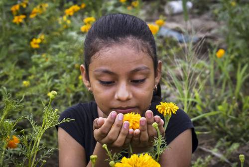  Niños de Mixtequilla descubren un mundo mágico con la fotografía