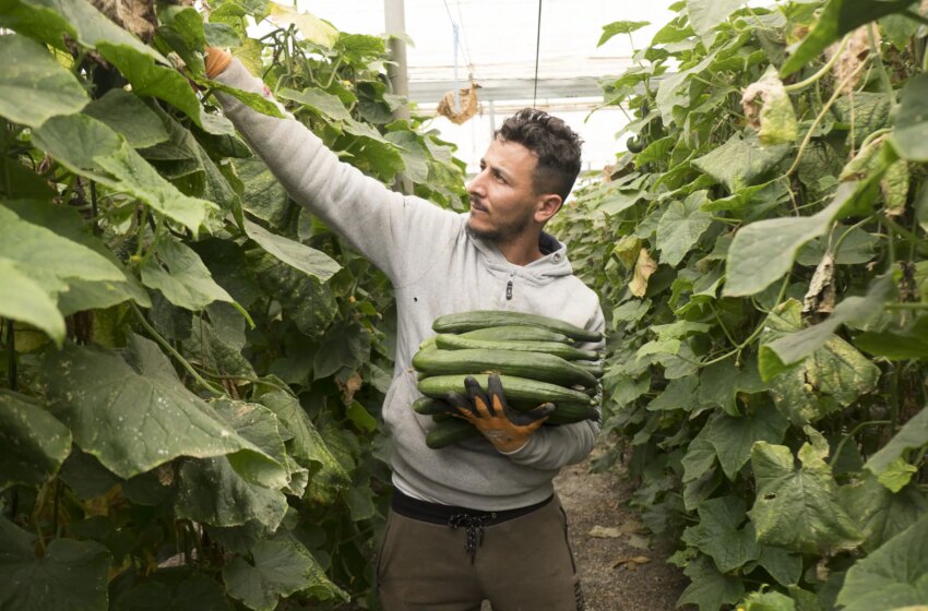  Ayudas de la Diputación para proyectos de agricultura, ganadería y medio ambiente – Ideal