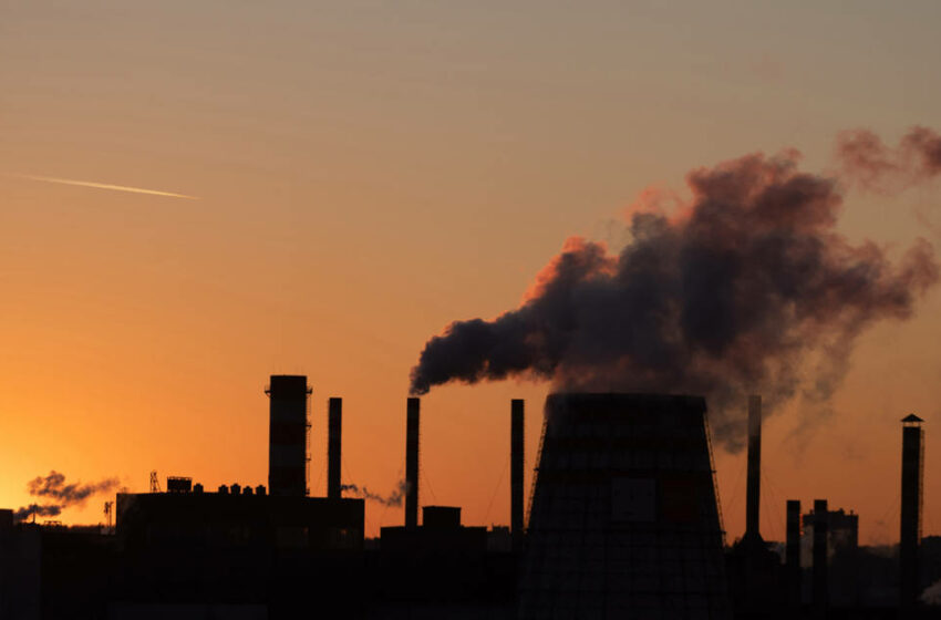  Captura de carbono: qué es y cómo colabora a frenar el cambio climático