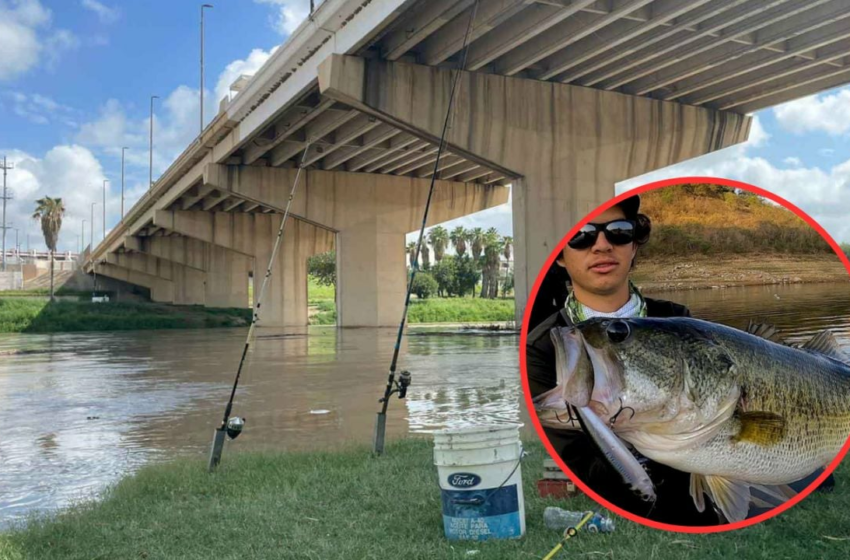  Pesca en Nuevo Laredo: estos son los peces que puedes capturar en el Río Bravo