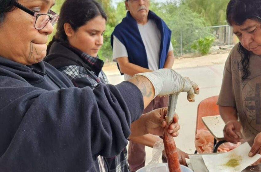  Ofrece Sepesca taller a pescadores cucapá | Periodico El Vigia