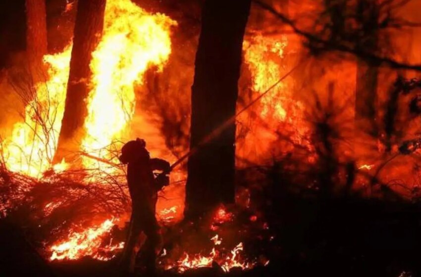  Medio Ambiente identifica cuatro comarcas como áreas de peligro alto de incendios – Leonoticias