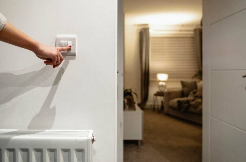  Precio de la luz hoy 12 de noviembre por horas: cuándo es más barata y cuándo más cara