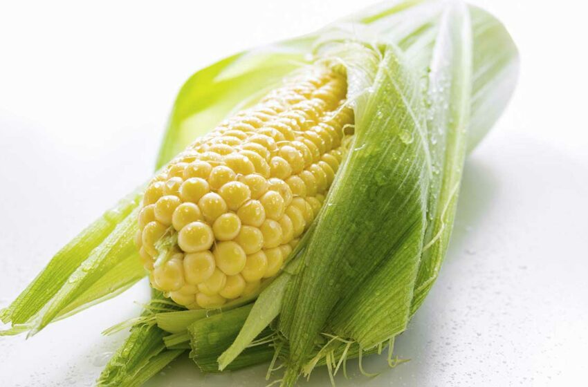  La industria prevé una aumento del 28 % en las importaciones de maíz amarillo en México