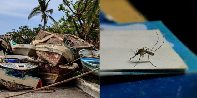  Acapulco y Coyuca de Benítez son fumigados para eliminar dengue y zika