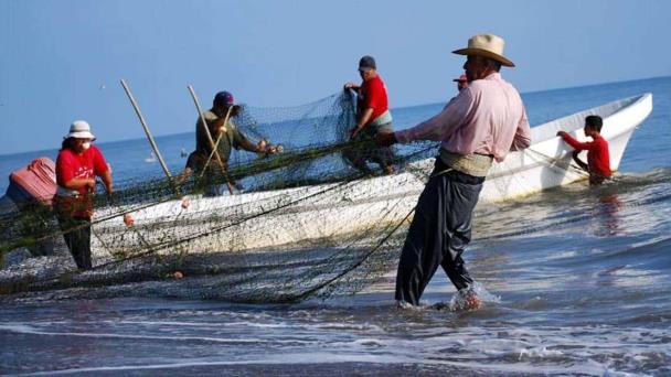  Se recupera la pesca en Veracruz