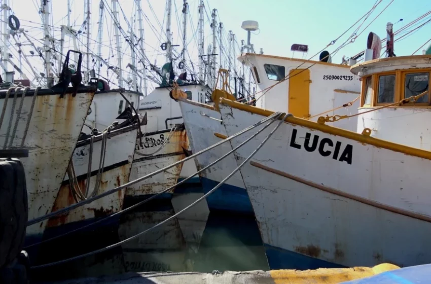  Se acaba temporada de pesca para camaroneros de Mazatlán meses antes de veda | Sinaloa – TVP