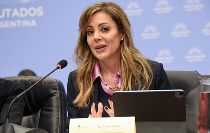  La salteña Flavia Royón fue confirmada en la Secretaría de Minería de la Nación