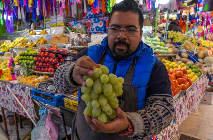  Garantiza Agricultura abasto de uva para festejos de Año Nuevo – Acustik Noticias