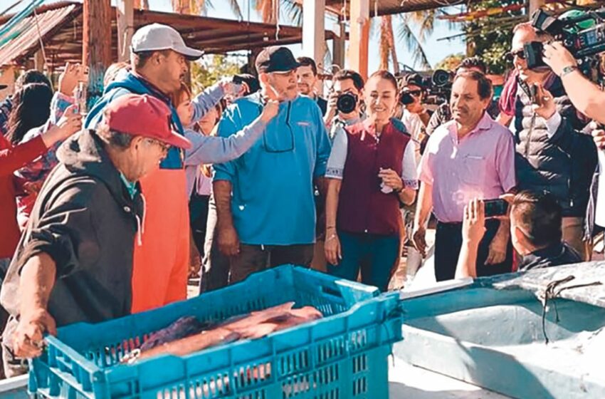  Pescadores de Sinaloa muestran apoyo a Claudia – 24 Horas