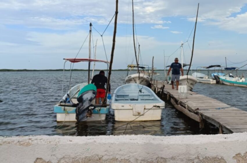  Mal cierre a la pulpeada en Río Lagartos – Diario de Yucatán