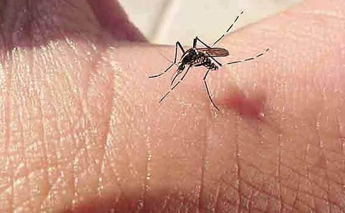  SUMAN 21 DEFUNCIONES POR DENGUE EN YUCATAN – Yucatan Ahora