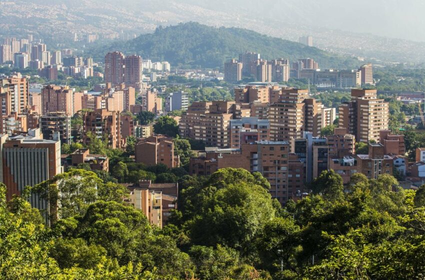  Ciudades esponja y techos verdes: las urbes incorporan la naturaleza para mitigar y crear empleo