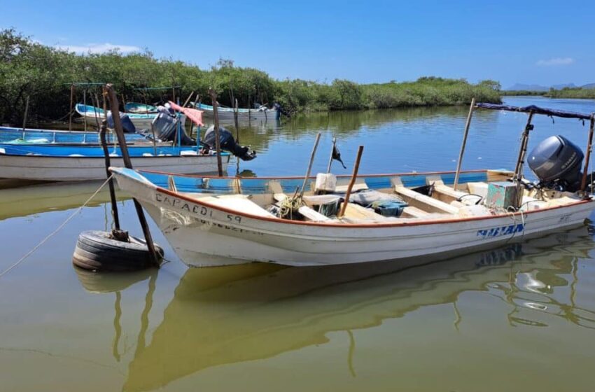  Pescadores de Boca del Río, Guasave, se quedan sin apoyos por falta de permisos para …